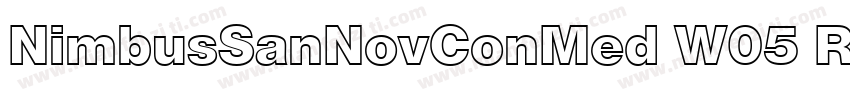 NimbusSanNovConMed W05 Regular字体转换